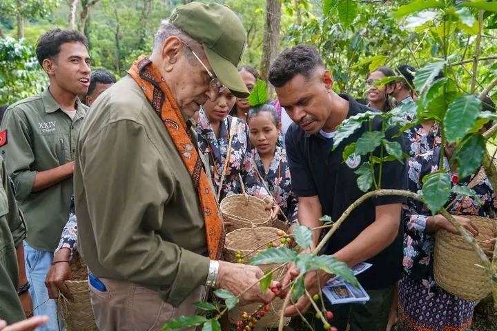 Festival LeoBaLi ‘lori sidade ba knua’ • PR Horta husu governu revitaliza kafé tuan
